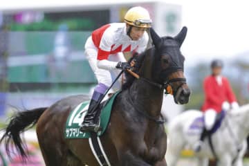 武豊騎手 今週の騎乗馬…チャレンジCはサブマリーナとのコンビ