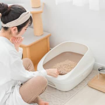 猫を苦しめる『パンドラ症候群』とは？原因や、この病気を疑うべき症状などを解説