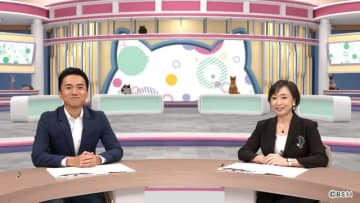 愛猫家必見！　BS11で特別番組「にゃなか放送局 ネコまちジャーナル」を放送