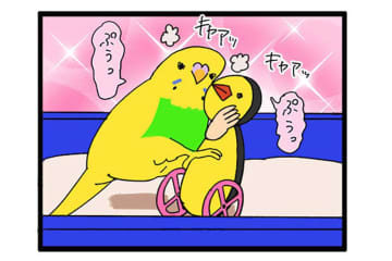 ペットカメラ越しに悶絶！インコのかわいさと初めての人語に感動【鳥マンガ＃116】
