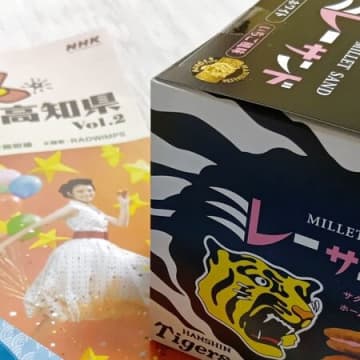 大阪発！朝ドラあんぱんゆかり 高知県のスイーツ×阪神タイガース優勝パッケージ見っけ～！