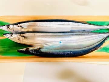 ゴミ箱の蓋を開けた時に生臭い！→即解決