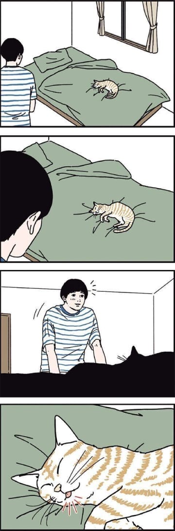 猫の舌に気付いたとき、幸せを感じる【男の猫道】vol.143