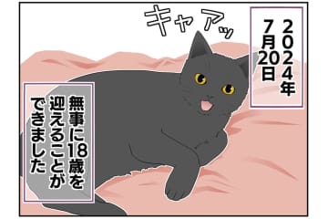 【マンガ・老猫日誌 ＃11】老猫、18歳になる。元保護猫・桃姐