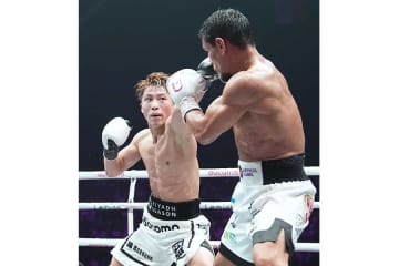 井上尚弥戦、中継マイクが拾った真吾トレーナーの指示に喝采「鳥肌もん」「的確だった」