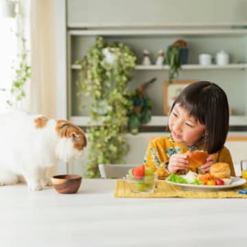 猫が見せる『わかりづらい愛情表現』3選　見過ごしてしまいがちな“大好き♡”をキャッチするには？