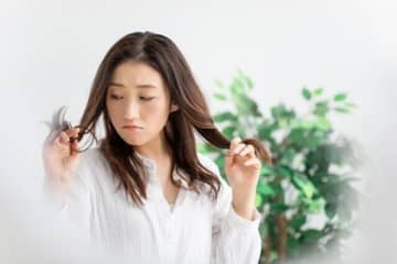 秋は抜け毛や髪のダメージに要注意!?「ツヤ髪」を取り戻す食材をプロが解説
