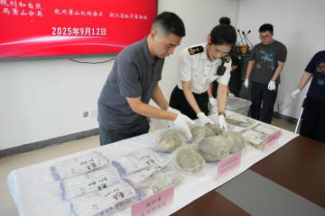 不正輸出で押収の化石2千点超、博物館に収蔵へ　中国・杭州市