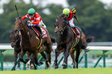 【セントライト記念】皐月賞馬の貫禄！ミュージアムマイルが鮮やかな差し切りV