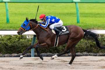 【鋸山特別】モレイラ騎乗 リアライズカミオンが断然の支持に応える