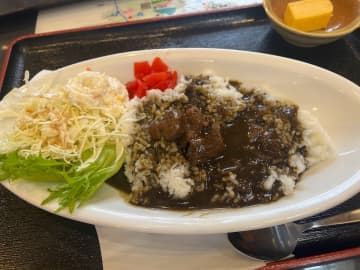 【道の駅ご当地カレー特集】カレーの概念ぶっ壊し！ 熊肉・びわ・イチゴの激レアカレー4選