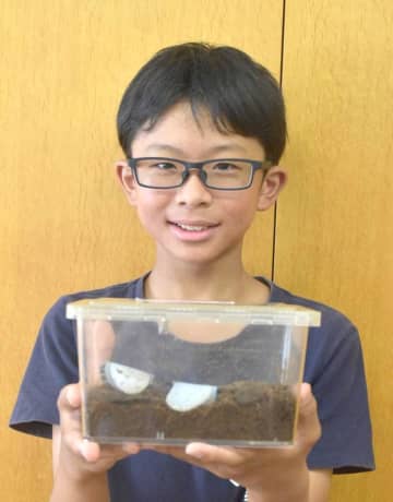 小学生が希少昆虫発見　アカマダラハナムグリ　専門誌に発表へ　茨城・神栖の宮沢琉杜さん(波崎西小)