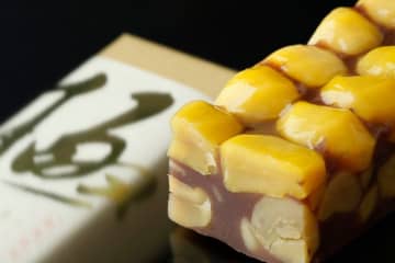 松屋の贅沢秋羊羹「栗蒸し羊羹」「極 栗蒸し羊羹」　新栗×匠の技の逸品を期間限定発売　9月13日より店頭販売、9月26日より通販サイトで期間限定販売開始　