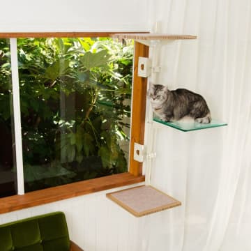 業界初！窓枠につけるキャットタワー「ねこゴロン」最大10％OFFの期間限定秋セールを開催！　デッドスペースを有効活用し快適な窓辺に！飼い主＆猫ちゃん双方に嬉しいアイテム