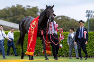 WIN5は23万円超の払戻し…セントライト記念はミュージアムマイルが完勝