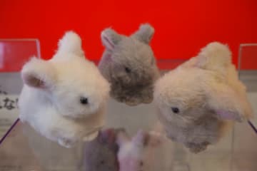 万博海外スタッフもメロメロ「偏愛」動物グッズ、送別会の定番にも