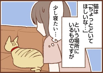 【吉川さん家の猫事情】#110話 ネコの好きな場所