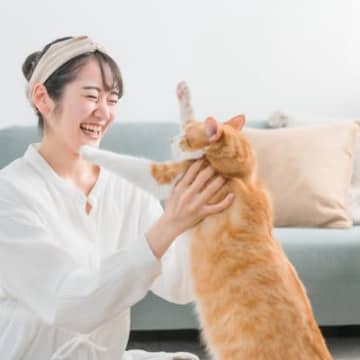 猫が『抱っこが大嫌い』になってしまう4つの理由　抱っこに慣れてもらう方法はある？