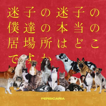 ペルシカリア、4th EP「迷子の迷子の僕達の本当の居場所はどこですか」詳細発表