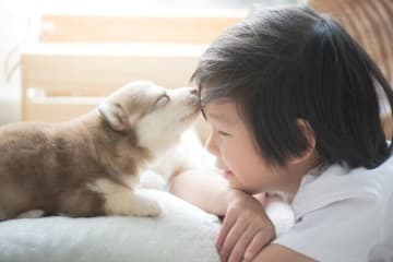 ペットを飼いたい！犬を飼うメリット＆デメリット
