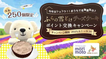 エア・ドゥ、「ふらの雪どけチーズケーキ《ショコラ》」をポイント交換商品に追加と　先着250個限定