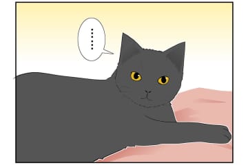 【マンガ・老猫日誌 ＃13】老猫のトイレ事情…18歳の元保護猫・桃姐