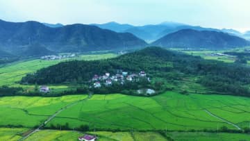 雨上がりの山村に広がる田園風景　中国・安徽省池州市
