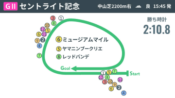 【セントライト記念回顧】ミュージアムマイルが持続力勝負でねじ伏せる　2着ヤマニンブークリエは菊花賞への適性示す