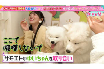 櫻井優衣を“奪い合う”犬たち「ここで喧嘩しないで！」　未公開映像に反響「結構激しめ」