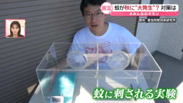 蚊が秋に“大発生”？　異変…対策は【#みんなのギモン】