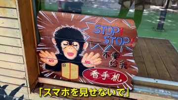 チンパンジーが“スマホ中毒”？来園客が見せる画面にくぎ付け…「スマホ見せないで」動物園が呼びかけ　上海