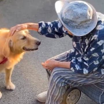 散歩中に『おばあちゃん』と久しぶりに会った大型犬→ふたりでお話をして…思わず涙が出る『心温まる光景』が38万再生「なんて尊いの…」と感動