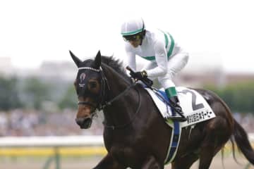 【神戸新聞杯登録馬】ショウヘイなど12頭