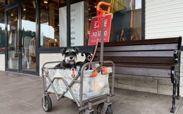 【まるも亜希子の「寄り道日和」】愛犬を連れて那須へドライブ旅