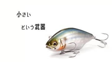 【難しいタイミングがうれしくなる！】釣れないシーバスボイルに新回答！圧倒的飛距離を叩き出す個性派プラグが小さくなった！