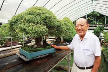 55年ぶり展示に期待　大阪・関西万博に盆栽、きょう18日から　1970年の大阪万博で広く知られるようになった大宮盆栽村　今年開村100周年　園主「万博後は観光バスで団体が訪れるようになり、活気があった」