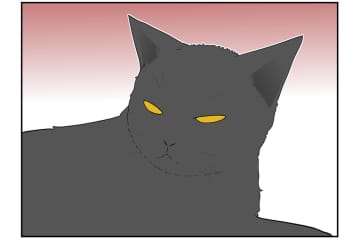 【マンガ・老猫日誌 ＃14】老猫のトイレ事情…18歳の元保護猫・桃姐