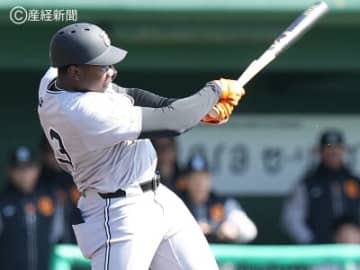 20歳ドミニカンが攻守に躍動！将来の主力候補に多くのファンが期待【巨人】