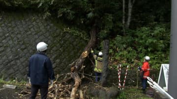 戸隠神社で倒木…落雷の影響か　参拝客のオーストラリア国籍45歳女性が腕の骨折る大けが　長野市