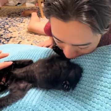 子猫の『お尻のにおい』に……嗅いだパパと『嗅がれた子猫のリアクション』が笑えると50万再生「傷ついてるｗ」「何を頑張らせてんねんｗ」