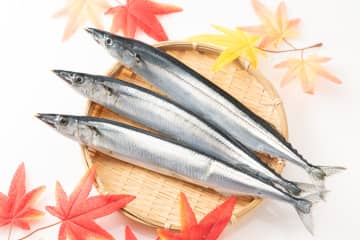 なぜサンマは秋が食べ頃と言われるの？旬の背景とおいしく味わうコツ