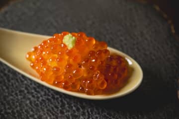 【食べ放題ニュース】コスパヤバすぎ「寿司食べ放題」を発見！高級ネタもOKなのに信じられない価格だよ…!!