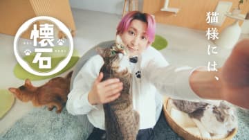 Snow Man佐久間大介、愛情たっぷりなフードで“猫様”たちをおもてなし　「懐石」新CM公開