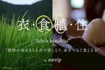 “植物と食”をひもとく展覧会が表参道・GYREで、“稲”にまつわる現代アート＆陶芸を展示