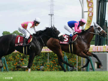 【神戸新聞杯】必ず勝利する馬の条件とは？ダービー組で見る攻略POINT