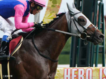 【神戸新聞杯】前走ダービー馬が馬券に絡む確率高い！調教師で見る攻略POINT