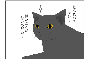 【マンガ・老猫日誌 ＃15】老猫のトイレ事情その3…18歳の元保護猫・桃姐