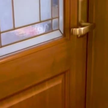 犬2匹を家族に預け『37時間後に帰宅した』結果→ドアを開けた瞬間に…思わず感動する『愛にあふれたおかえりなさい』に3万再生の反響