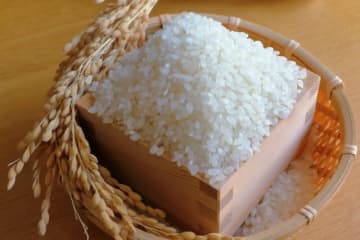 コメ生産1割増で価格どうなる？　「安ければいいというものじゃない」専門家の真意は？