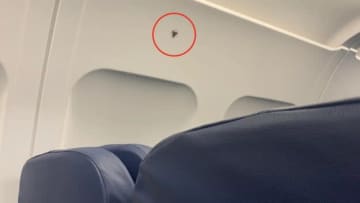 客室乗務員「この席に座ると景色が楽しめるよ」→“これは知らなかった”、飛行機の“謎のマーク”に驚きの声